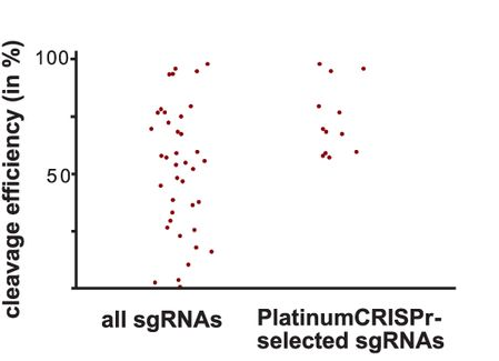 Fly performance benchmark